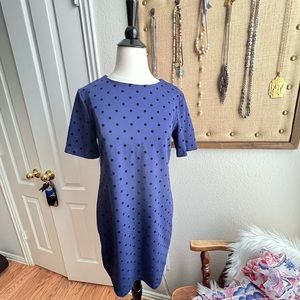 GAP Women Dark Blue Polka Dot Dress S